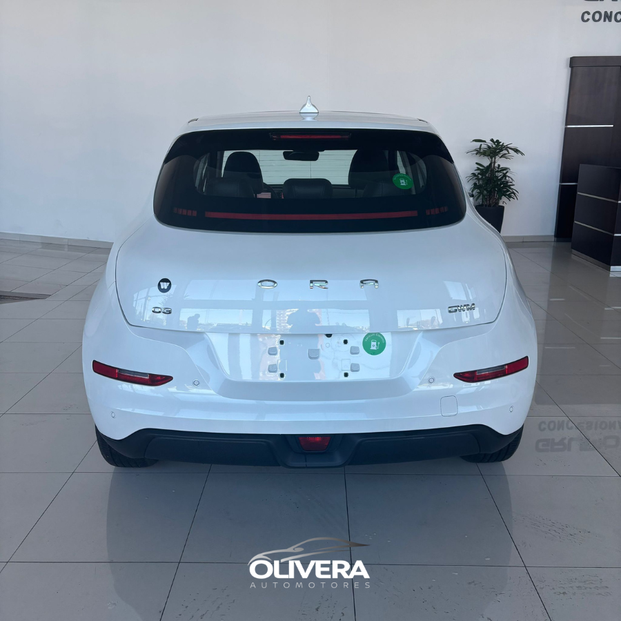 GWM ORA 03 SKIN