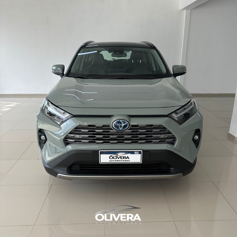 TOYOTA RAV 4 LIMITED PLUS 4X2