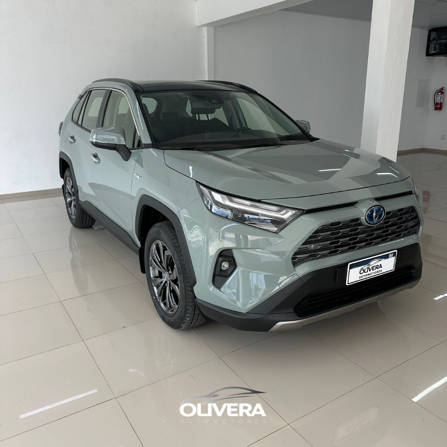 TOYOTA RAV 4 LIMITED PLUS 4X2