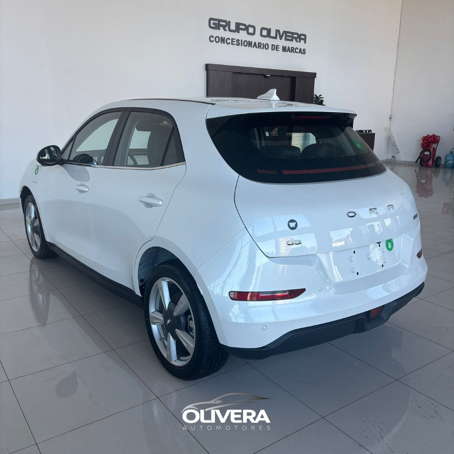 GWM ORA 03 SKIN