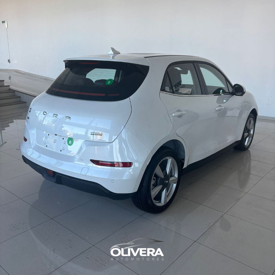 GWM ORA 03 SKIN