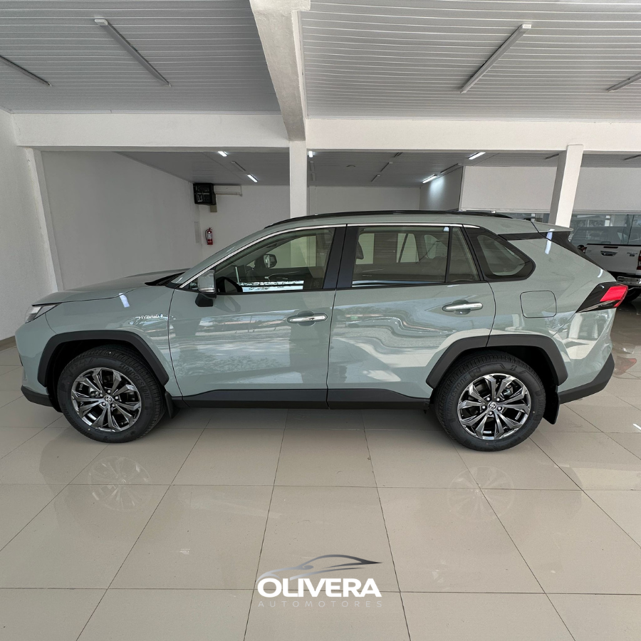 TOYOTA RAV 4 LIMITED PLUS 4X2