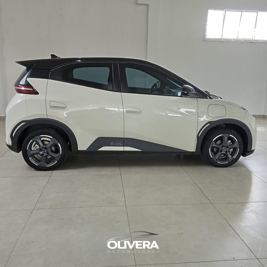 BYD SEAGULL GL 300