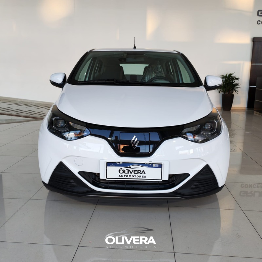 JMEV EV2